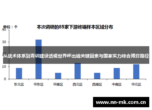 从战术体系到青训建设透视世界杯出线关键因素与国家实力综合博弈路径